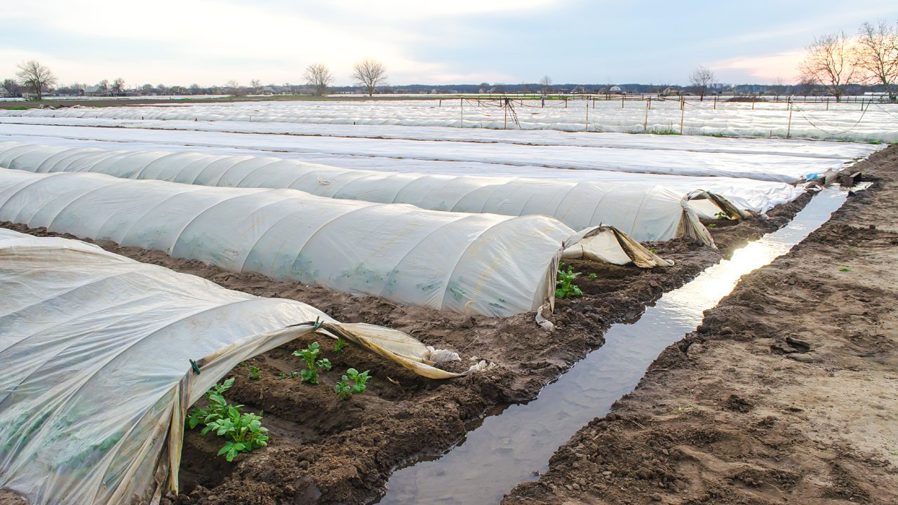 agriculture_image